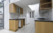 Duddon Common kitchen extension leads